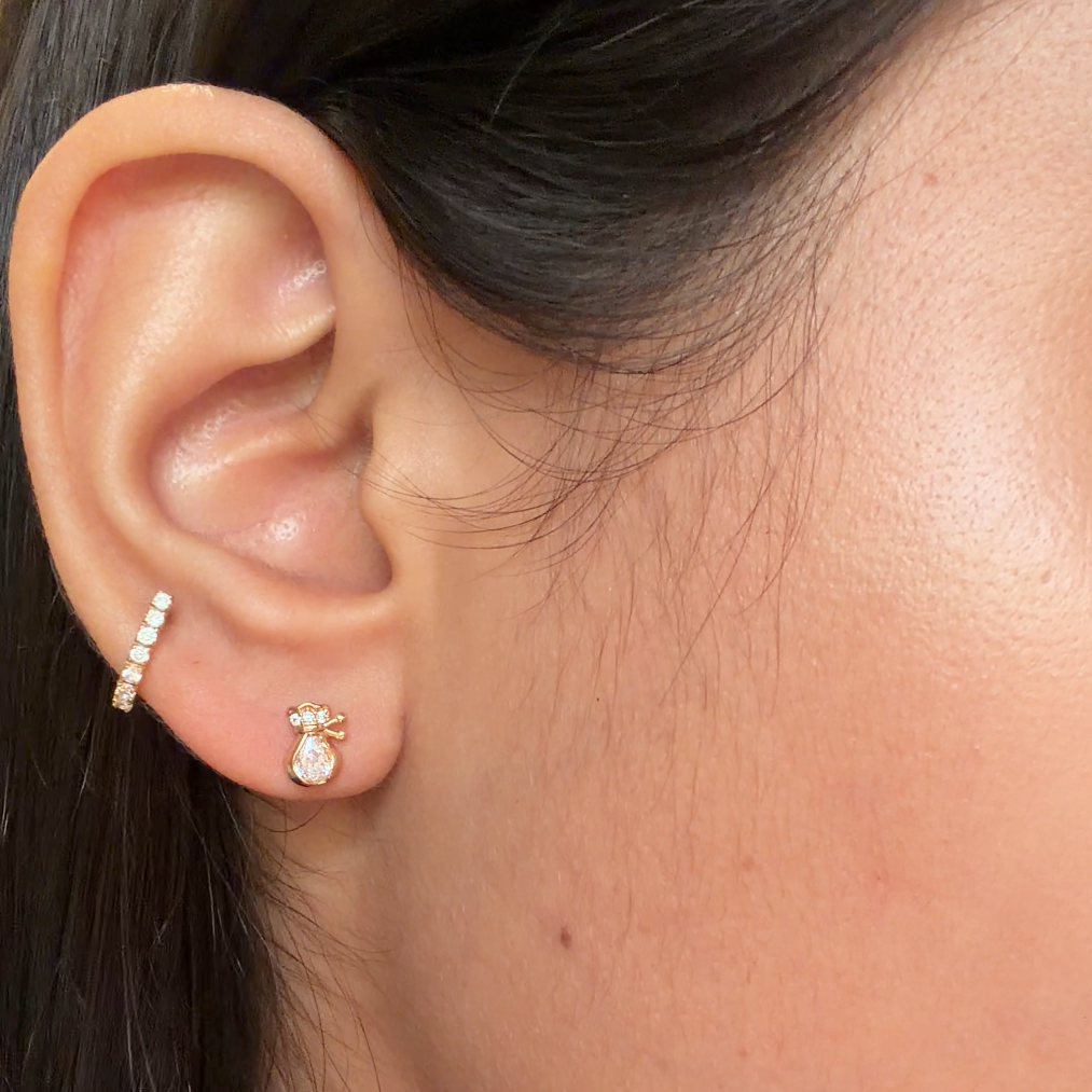 CZ Luxe Pouch Stud Earrings